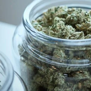 Organic Concentrate