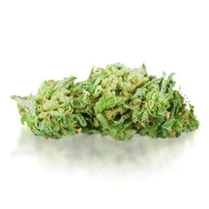 Acapulco Gold Marijuana Strain