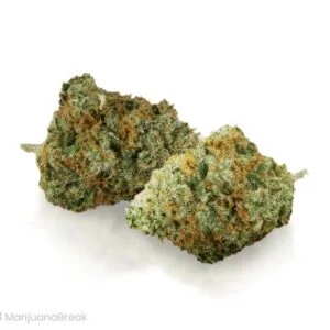 Charlotte’s Web Cannabis Strain