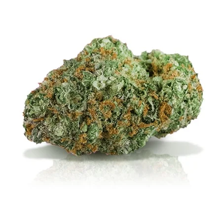 Cinderella 99 Marijuana Strain