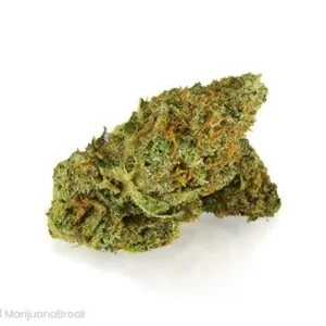 Critical Kush Marijuana