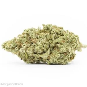 Dominion Skunk