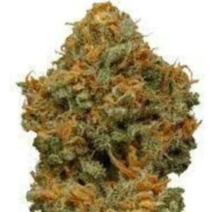 Dream Queen by Good Tree