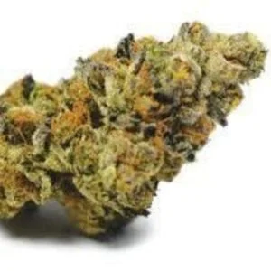 GSC for euhoria