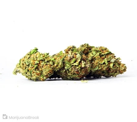 Laughing Buddha Cannabis