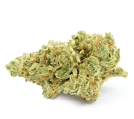Mint Chocolate Chip Marijuana Strain
