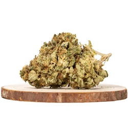 Neville’s Haze Sativa Strains (AAA)