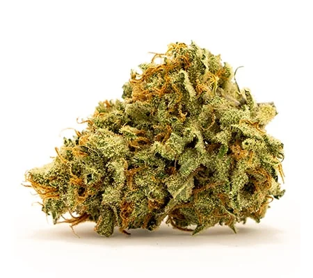 Royal Haze