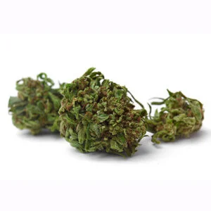 Sweet Cream Cannabis Strain